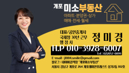 개포미소부동산공인중개사사무소