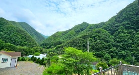 벨라민박