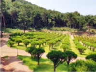 휴림씨오엠