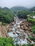 오송식당펜션 산삼비빔밥 오리백숙 오리구이 숙성삼겹살