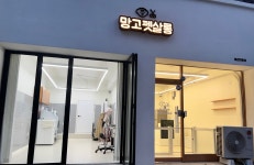 망고펫살롱