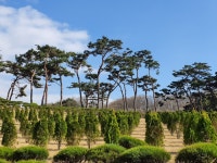 휴림씨오엠