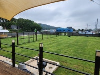 스테이포레스트 펜션