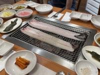 역말장어