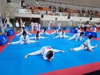 한국체대 온빛태권도