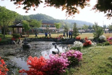 교촌농촌체험학교