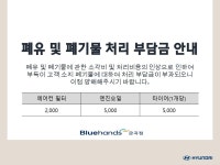 현대자동차 블루핸즈 금곡점