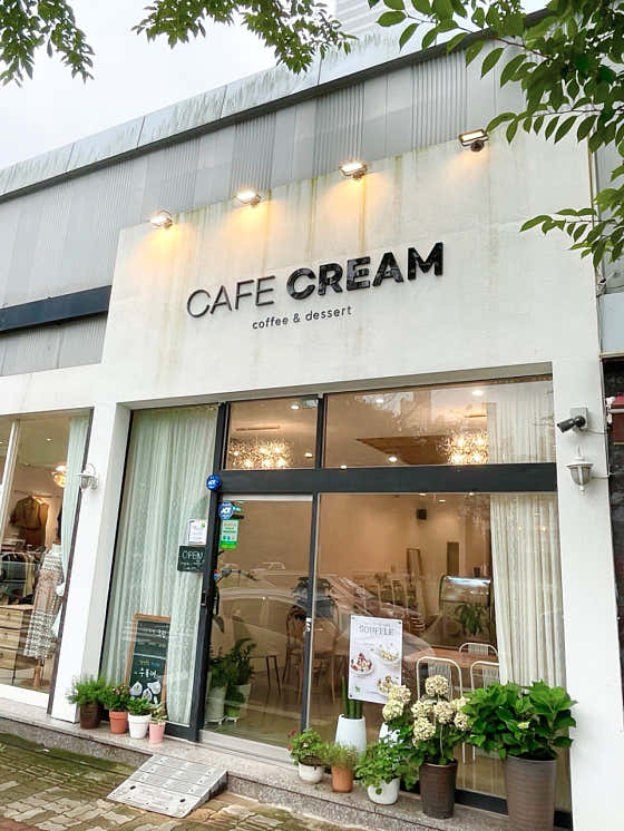 카페크림 사진