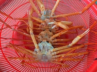 미광수산