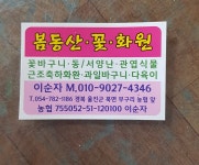 봄동산화원