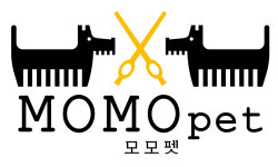 모모펫