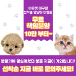 미유펫대구 강아지분양고양이분양 도그플러스동물병원