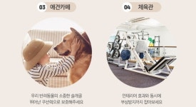 에스디