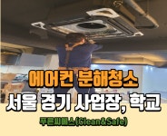 푸른씨에스