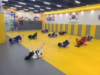 탑팀합기도 지웰관