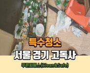 푸른씨에스