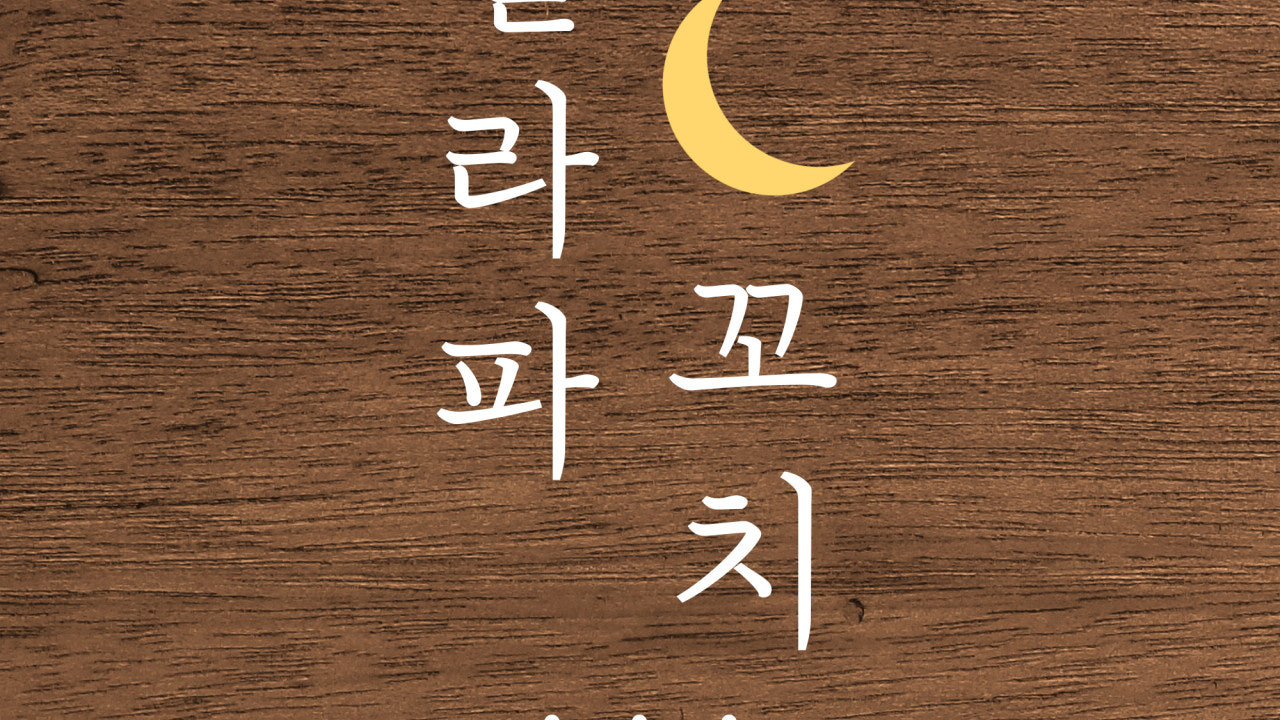갈라파꼬치