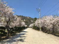 위딜펜션