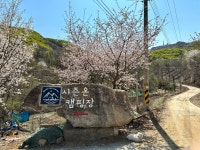 시즌온
