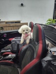 영운36카페