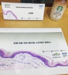 스킨핏에스테틱