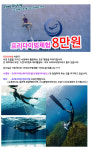씨유다이브