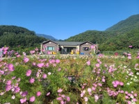 문경사과꽃팜스테이