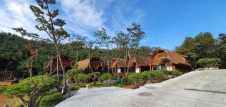 숲속애통나무마을