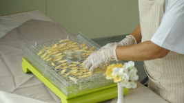 왈순아지매 농업회사법인