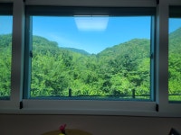 문경사과꽃팜스테이