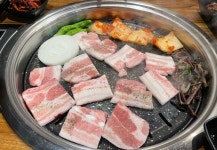 날아라홍돼지