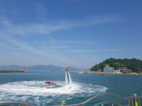 팀플라이코리아