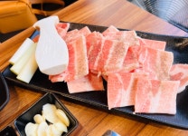 날아라홍돼지