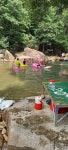 검태오남매