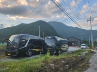 정선애장어 먹으러 와요