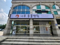 나무동물병원