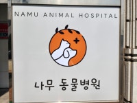 나무동물병원