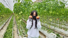 아림식품