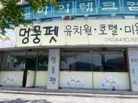 멍뭉펫 유치원