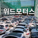 일산중고차위드모터스