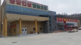 중앙인삼영농조합