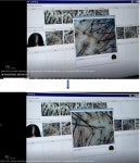 웰킨두피탈모센터 천안신불당점