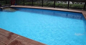 메이저애견훈련학교