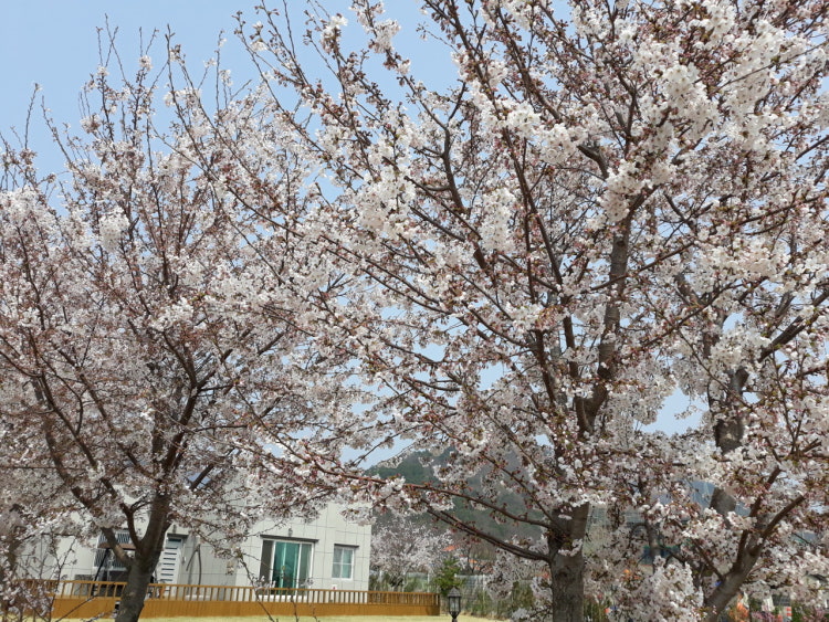 사천우리교회 사진 4