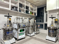 나비아이한의원 전주 효자