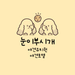 눈이부시개 애견유치원&호텔