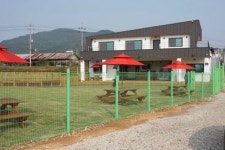 메이저애견훈련학교