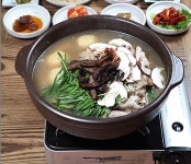원조닭한마리 삼계탕 초계탕