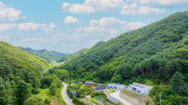 머스트화이트