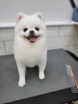 퉁이네